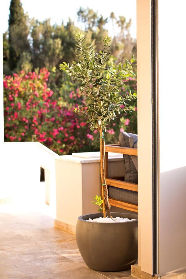 Horizon Hotel Kalymnos Myrties Eksteriør billede